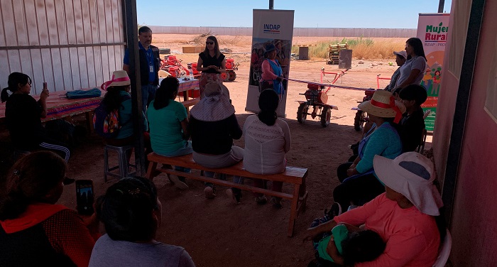 Programa Mujeres Rurales Usuarias De Pozo Almonte Recibieron